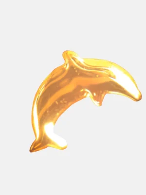 Dolphin Left or Right